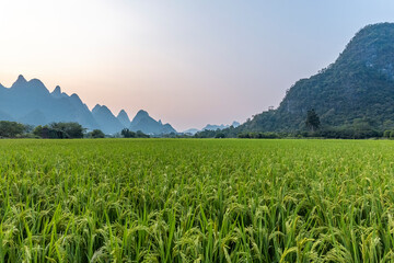 重阳最佳10首古诗